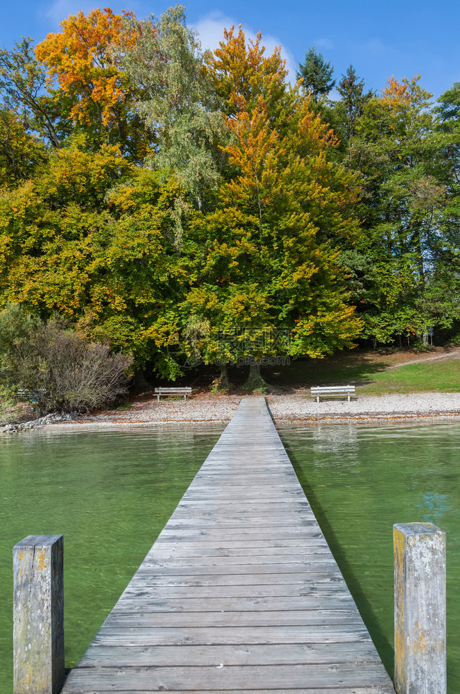 风景落下此图像显示秋天的桥有色图片