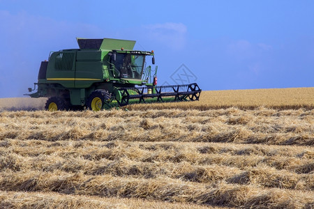 农村艾伦玉米一家在联合王国北约克郡小麦田作业的合并收割机在联合王国北约克郡工作背景图片