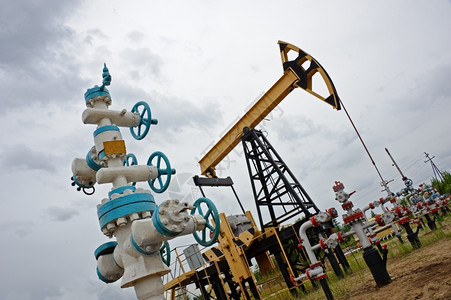 生产巴斯塔西伯利亚俄罗斯采掘油泵和井口图片