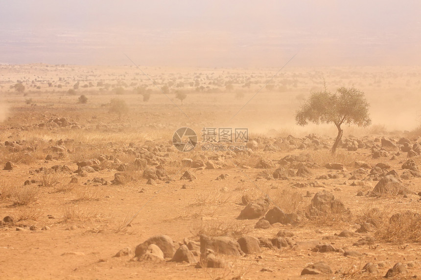 牧场灾难景观严重干旱期间肯尼亚巴伦平原发生沙尘暴图片