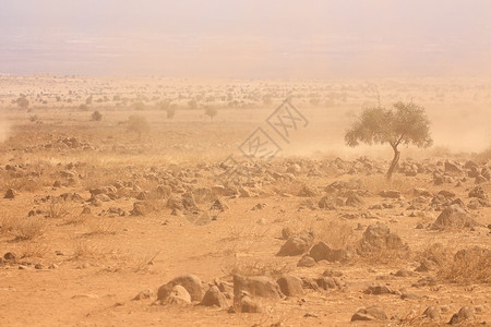 牧场灾难景观严重干旱期间肯尼亚巴伦平原发生沙尘暴图片