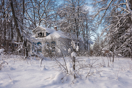 建筑学在寒冷的冬日雪覆盖的树木中旧废弃白木屋色的景观图片