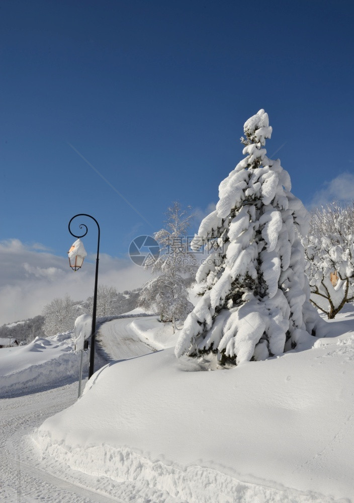 通向高山村的白色公路上满有鲜雪和灯柱的fir树一种自然阿尔卑斯山图片