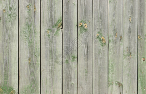 优质的粗糙紧贴着一堵旧灰色木栅栏涂有绿漆的剥皮风化图片