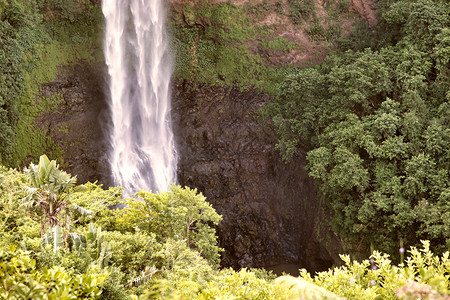 公园旅行Chamarel瀑布毛里求斯图片