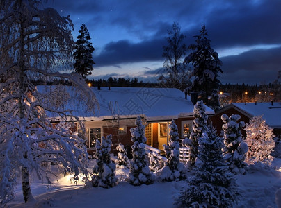 片刻季节树圣诞冬夜的雪屋蓝色时刻圣诞夜晚的雪屋上图片