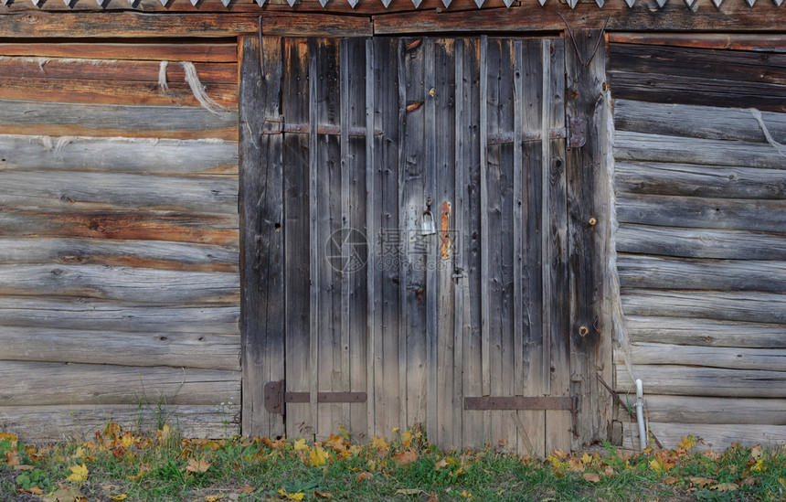 未上漆在俄罗斯村一个木棚的旧肮脏没有油漆的木门日志肮脏的图片