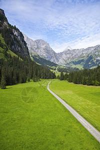 蒲谷英通道蓝色的树木瑞士阿尔卑斯山的路径背景