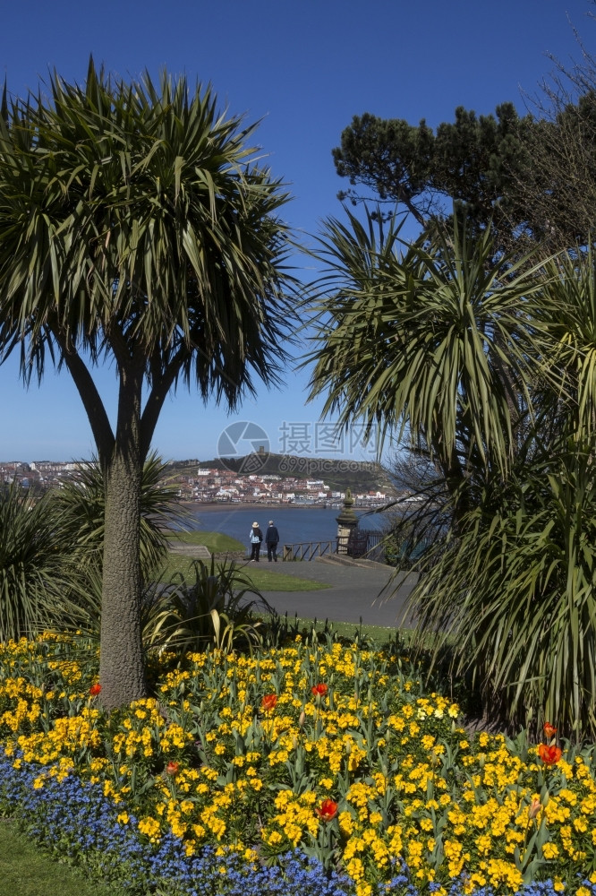 Scarborough英格兰东北约克郡海岸花朵城堡旅游图片