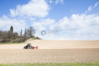 拖拉机在用滚筒栽种之后压缩土壤农业田母猪图片