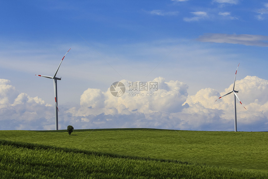 电农场绿黄田一棵树和风车力量图片
