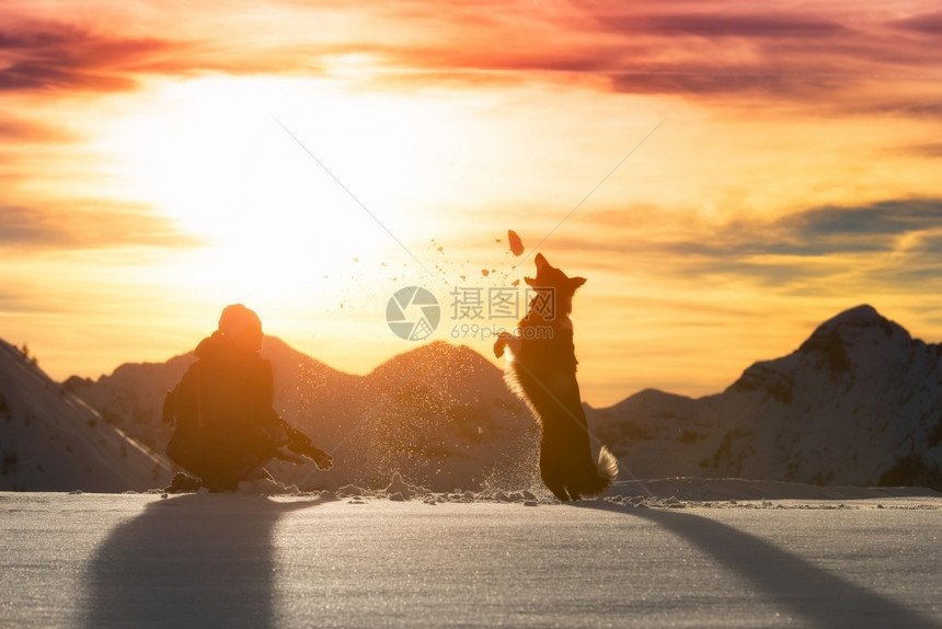 夕阳下和女孩玩耍的狗狗图片