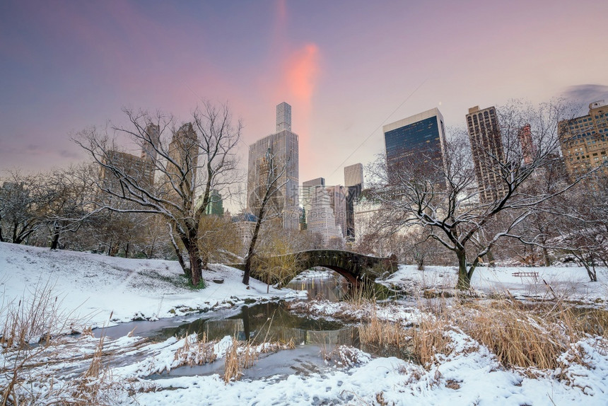 纽约市美国中央公园冬季加普斯托桥花园新的图片