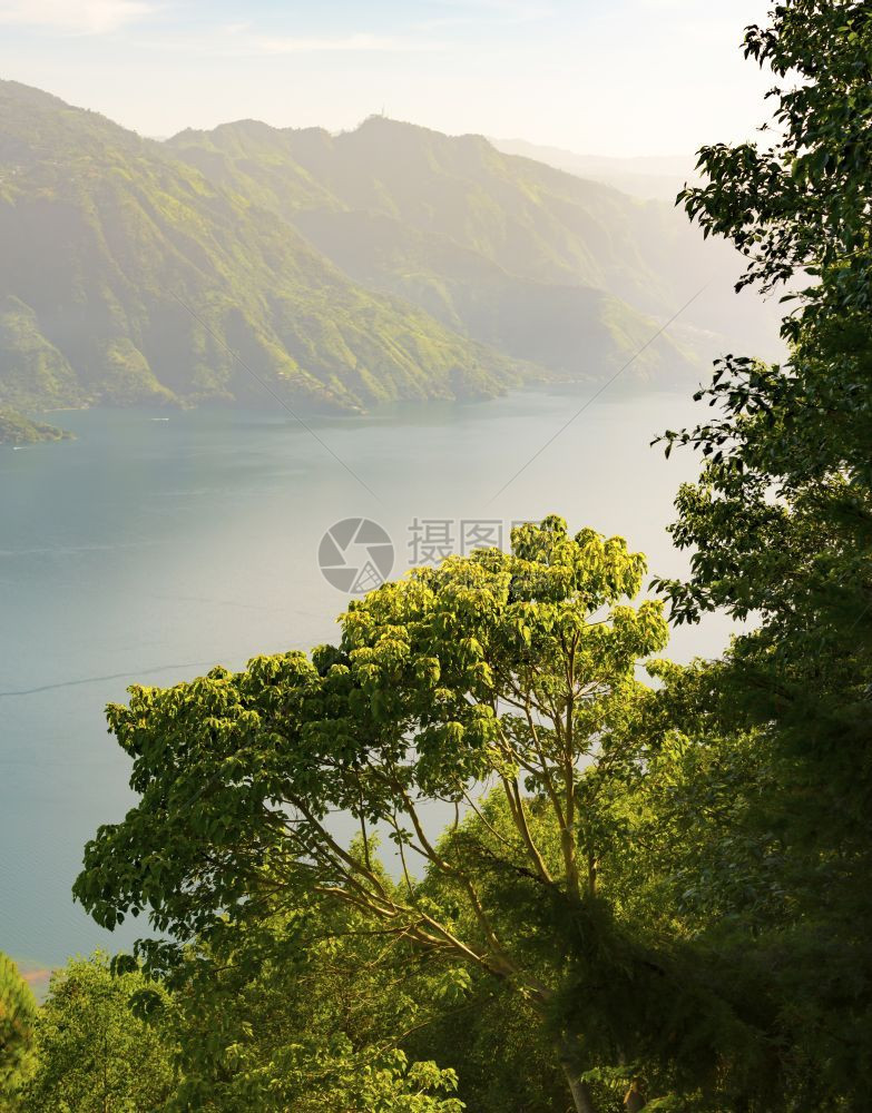 朦胧中美洲危地马拉阿提特兰湖的森林日出户外树木图片