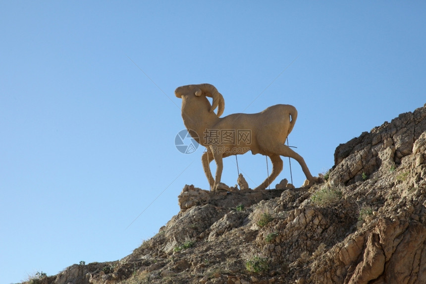 沙漠是否撒哈拉突尼斯Chebika的绵羊纪念碑有角的图片