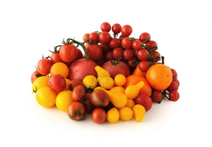 饮食不同的团体白色背景上不同颜和品种的西红柿组群背景图片