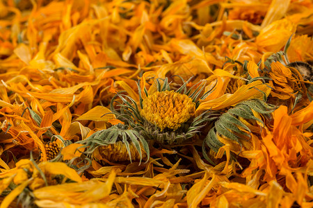 黄色的橙金盏花Calendulula流式茶作为背景注入的茶叶图片
