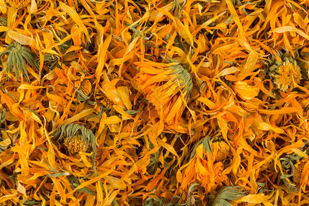 开花医疗的Calendulula流式茶作为背景注入的茶叶干燥图片