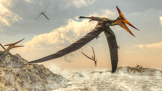 大洋洲爬虫翼龙Pteranodon鸟在海洋上飞行3D渲染Pteranodon鸟飞行背景图片