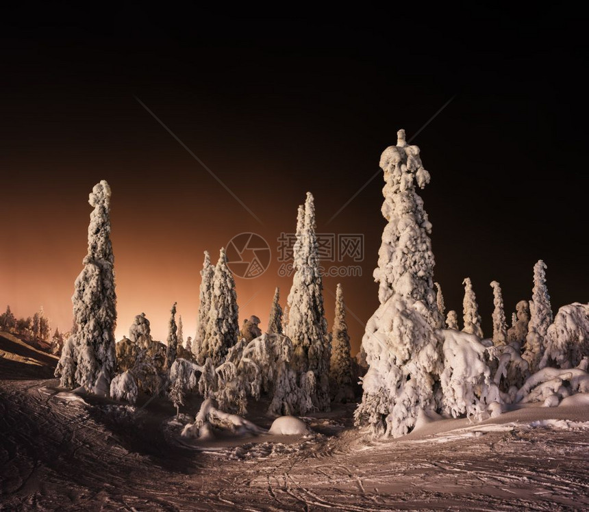地点童话橙色芬兰冬季森林树木图片