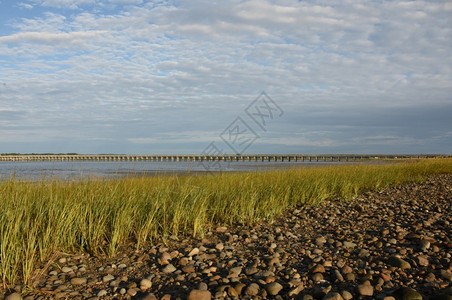 达克斯伯里华丽的低DuxburyBay上方距离的木桥潮汐背景