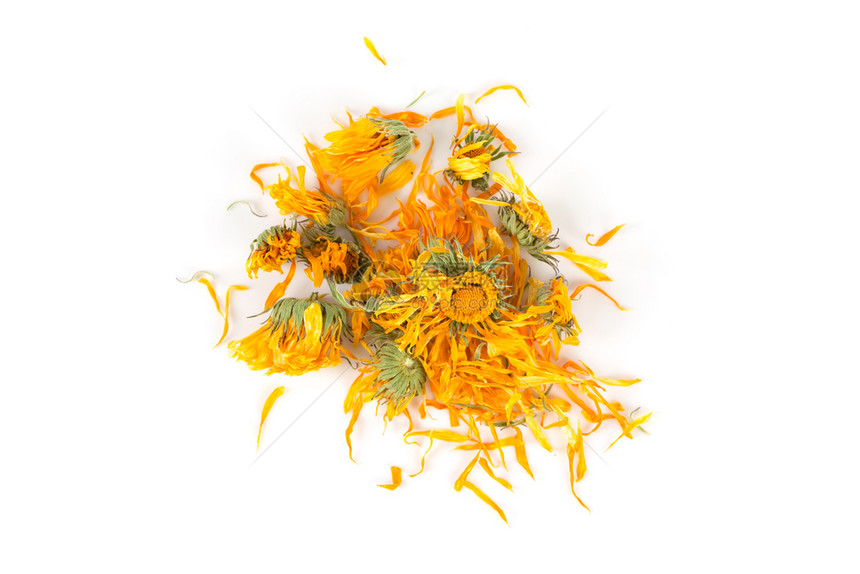 流水线黄色的Calendulula流化茶用于白底注入万寿菊图片