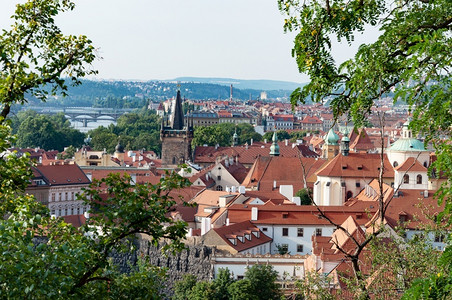 历史红色的树木布拉格旧城传统红色屋顶的景象图片
