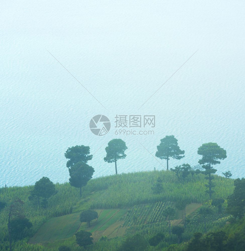 景观植物与危地马拉阿提特兰湖喷雾中的山丘田顶图片