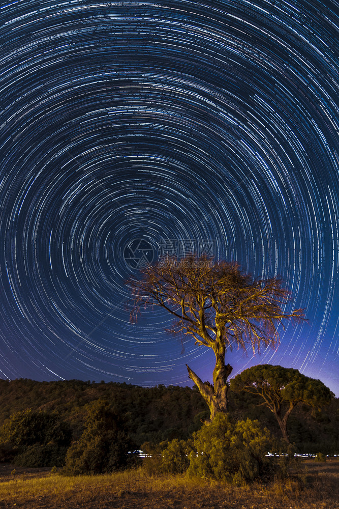 在西拉里和一棵树的海岸上有黑夜和星宿旅行晚天空图片