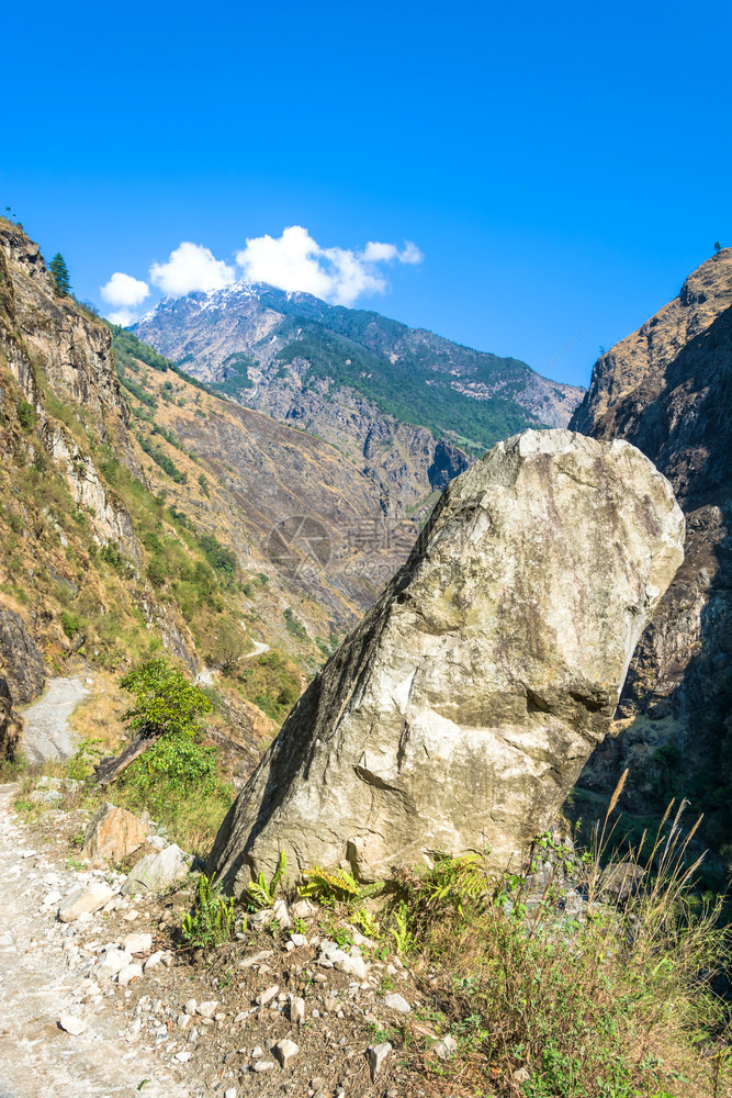树尼泊尔喜马拉雅山美丽的地景观谷旅行图片