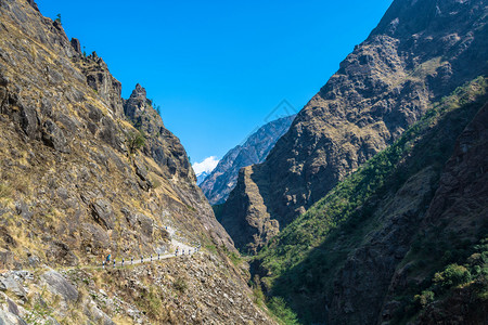 安纳普尔冒险尼泊喜马拉雅山美丽的地景观森林图片