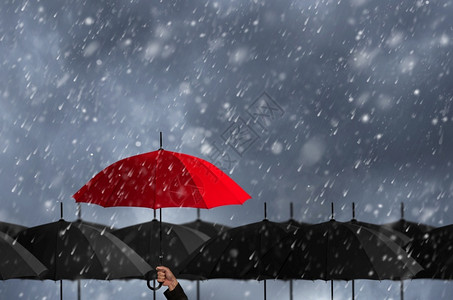 最好的白色大片黑伞中红暴风雨中的红伞个图片