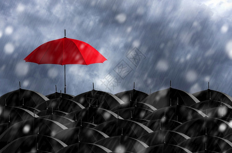 个黑色的白大片黑伞中红暴风雨中的红伞图片