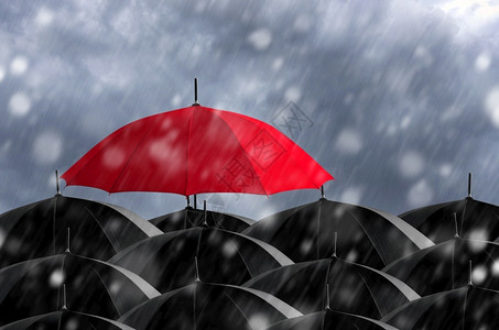 常设个雨伞大片黑中的红暴风雨中的红伞图片