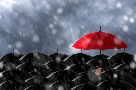 雨中的伞最好的红色独特大片黑伞中的红暴风雨中的红伞设计图片