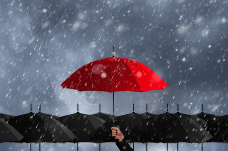 身份黑色的大片伞中红暴风雨中的红伞配饰图片