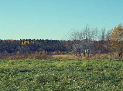红色的蓝日落秋天俄罗斯Arkhangelsk地区下游农村风景艺术图片