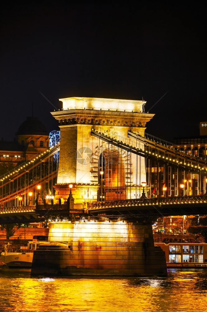 城市夜晚匈牙利布达佩斯Szechenyyi连锁桥镇图片