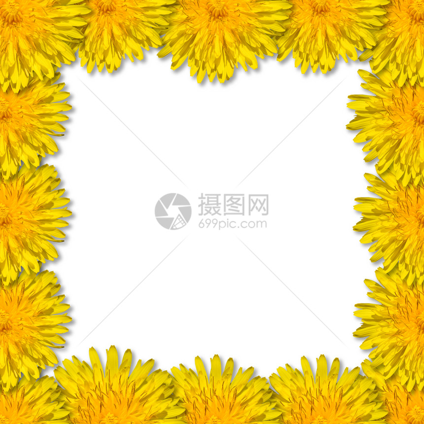 开花叶子绽放黄色朵安排在方形框中由花层排列成板框架图片