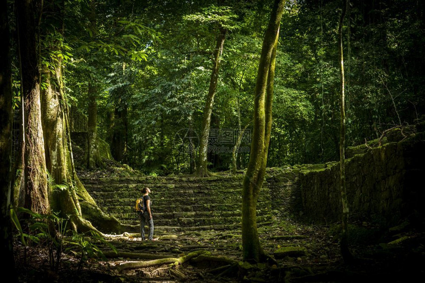 与女旅行者在丛林废墟冒险旅行环境墨西哥帕伦克图片