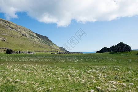绿色法罗群岛的典型风景绿草和石块动物海洋图片