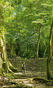 叶子独自一个女人探索古老的丛林废墟阳光冒险图片