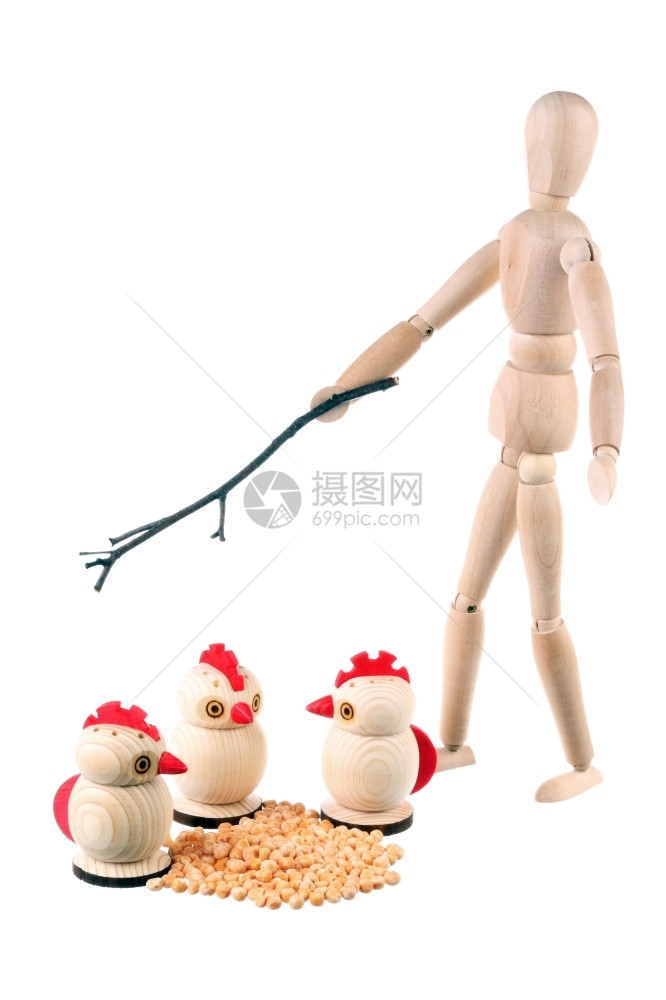 豌豆玩具娃白背景的鸡被孤立在白背景上的木丁多米食草鸡图片