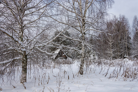 宁静寒冷的冬云天上美丽农村风景优美季节下雪的图片