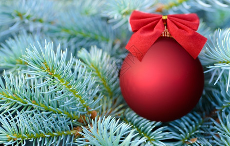 松树喜庆的圣诞和新年红酒在蓝色的fir树上用弓头装饰季节背景优美云杉图片