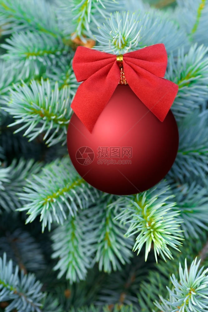 圣诞和新年红酒在蓝色的fir树上用弓头装饰季节背景优美松树球斯克莱兹涅夫图片
