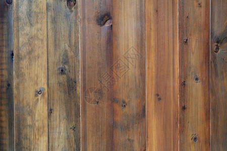 棕色无缝的图案布局原木纹理背景棕色的木头空白图片