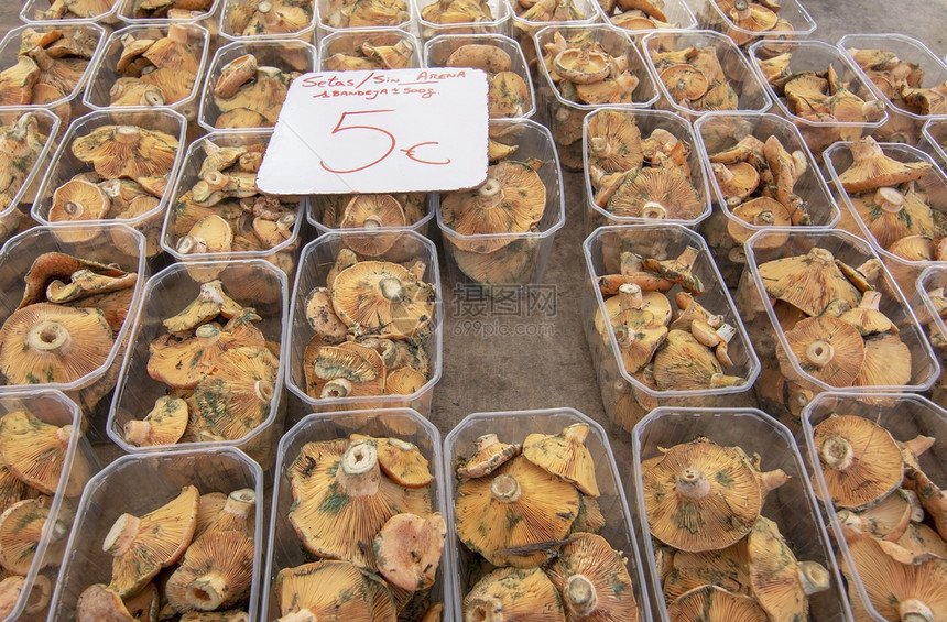 马略卡岛颜色丰富在西班牙马洛卡市冬季场展示的蘑菇在冬季市场展示的蘑菇图片