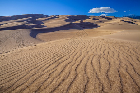 沙漠里的沙丘图片