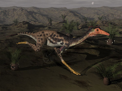 夜间动物Monononykus恐龙在夜间运行周围环绕着三维3D插图苏铁自然设计图片